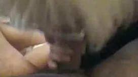 Sasha cho phép những ...